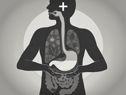 Hands cupping clear water, flowing through fingers. Silhouette of person with visible digestive system. Fresh fruits and vegetables. Cross symbol. Grainy black-and-white, hyper-realistic style.